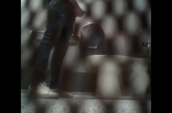 Hot Thick Cock Exposed in Steamy Public Bathroom